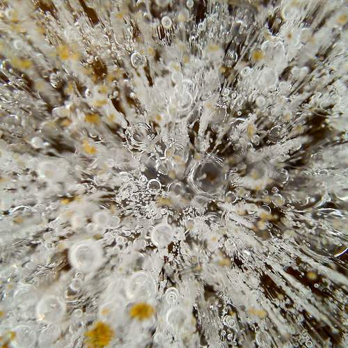 Photo #13199013