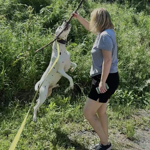 Photo #13199024