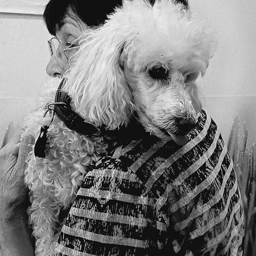 Photo #13199135