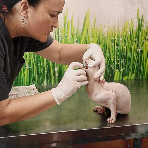 Photo #13199205