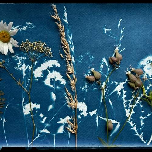 Фотография #13199286