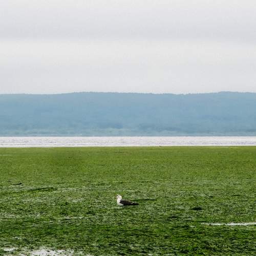 Фотография #13199304