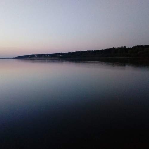 Photo #13199336