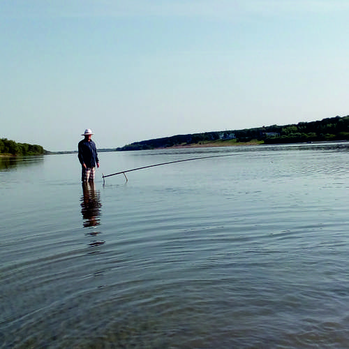Photo #13199342