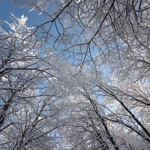 Photo #13199414