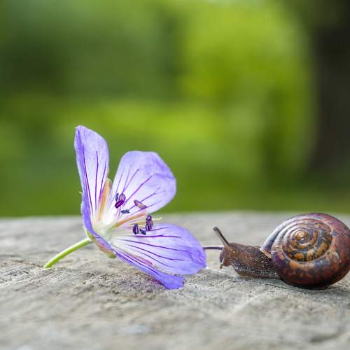 Фотография #13199531