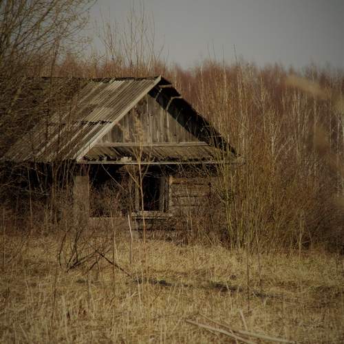 Photo #13199561