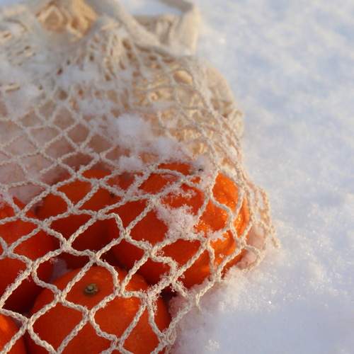 Photo #13199730