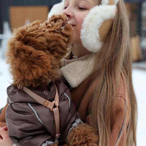 Photo #13199818