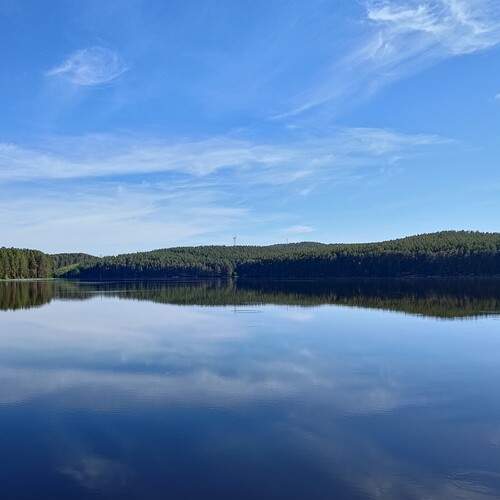 Photo #13199830