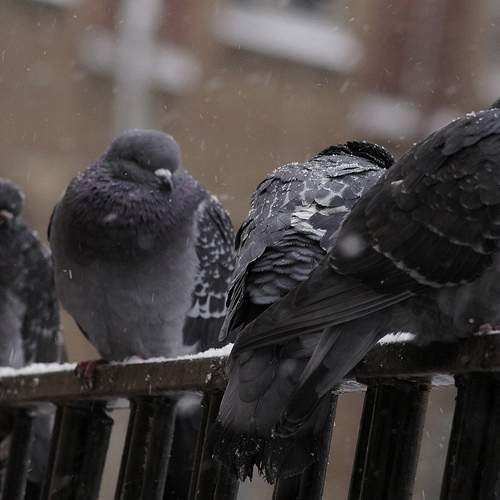 Photo #13199878