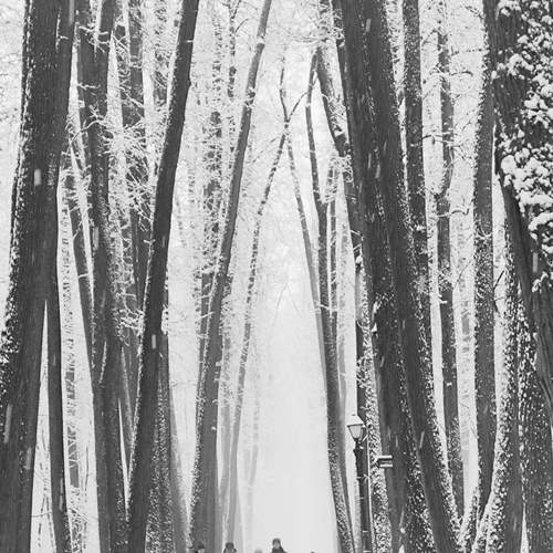 Photo #13199931