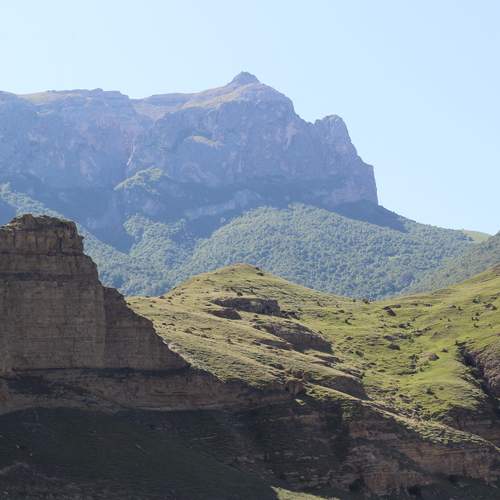 Photo #13200127