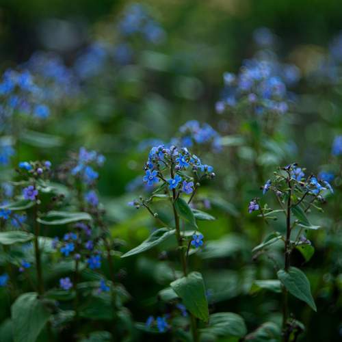 Photo #13200230