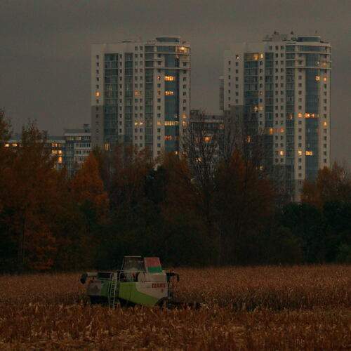 Photo #13200260