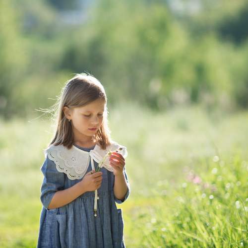 Photo #13200264