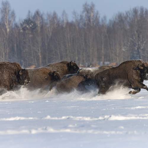 Почти полёт.