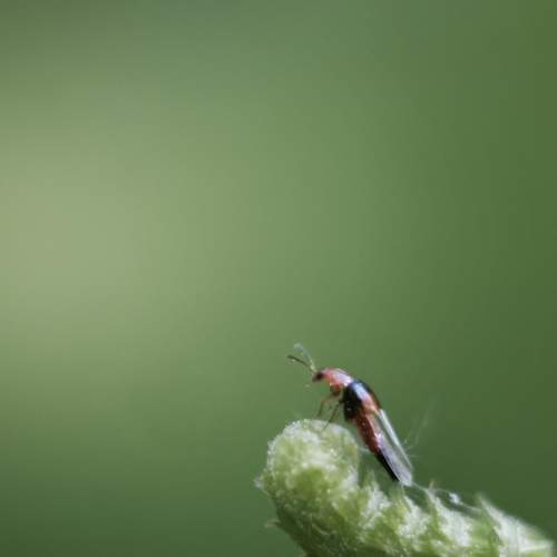 Photo #13200452