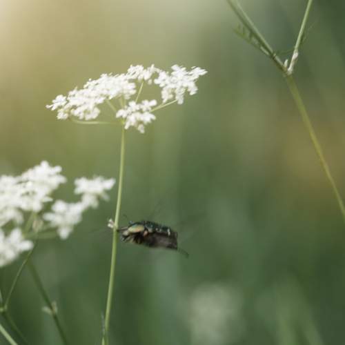 Photo #13200455
