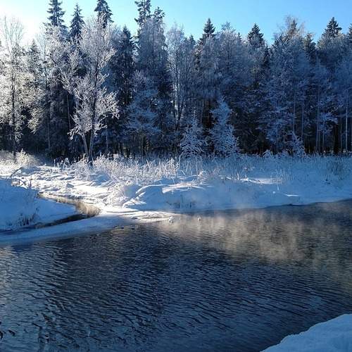 Photo #13200845