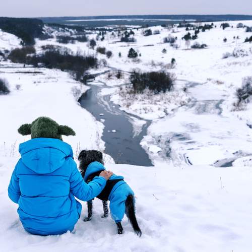 Photo #13200935