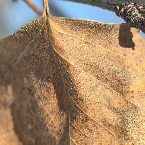 Photo #13201086