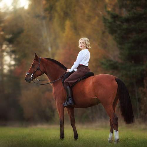 Фотография #13201181