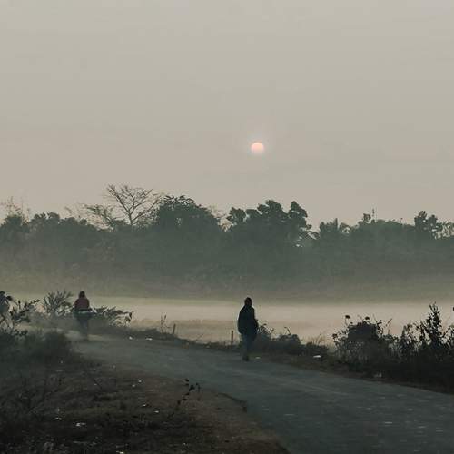 Winter Morning