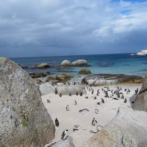 Photo #13201369