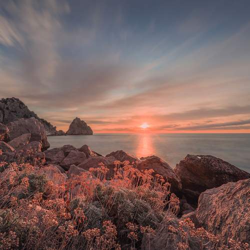 Фотография #13201435