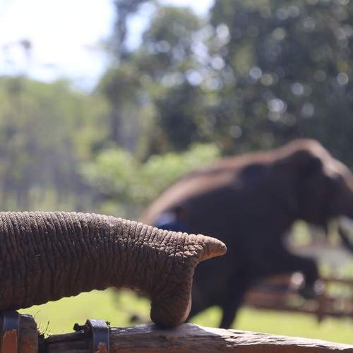 Photo #13201585