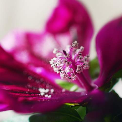 Photo #13201673