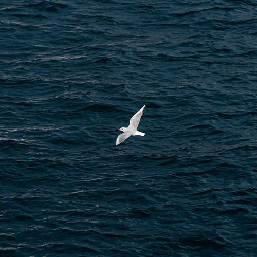Photo #13201700
