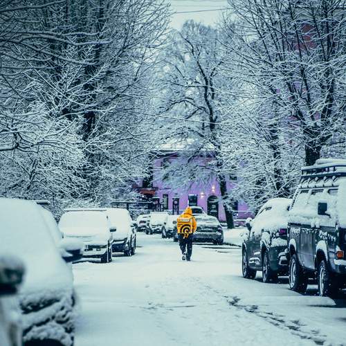 Photo #13201901