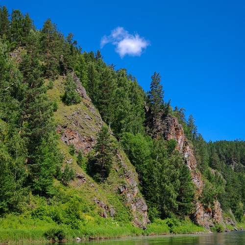 Photo #13202023