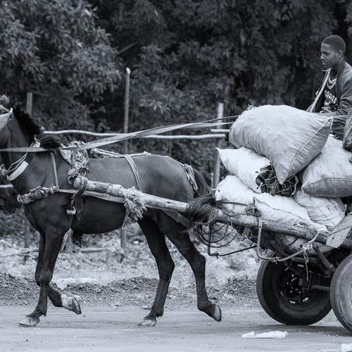 Фотография #13202086