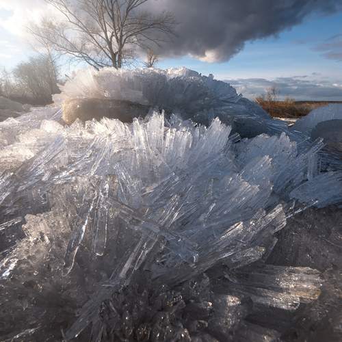Photo #13202153