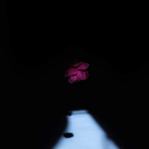 Photo #13202371