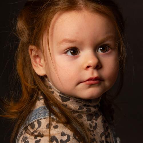 Photo #13202414