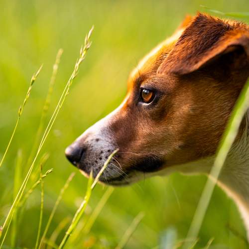 Photo #13202461