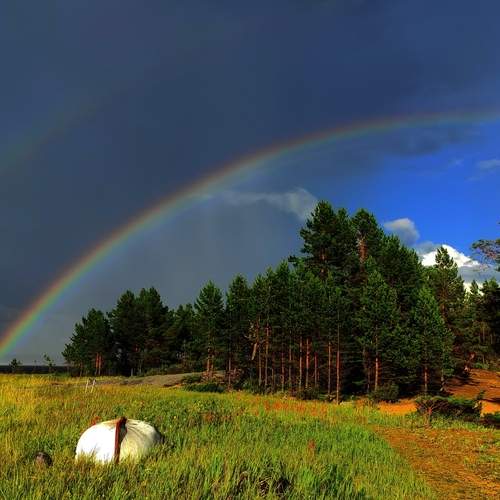 Фотография #13202484