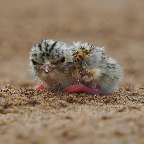 Фотография #13202525