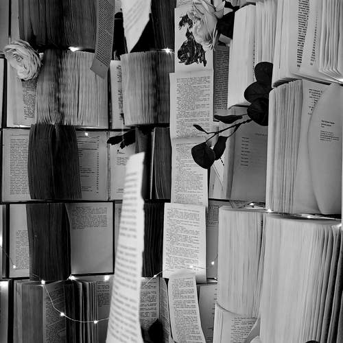 Photo #13202547