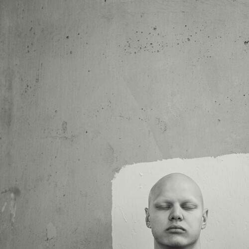Photo #13202612
