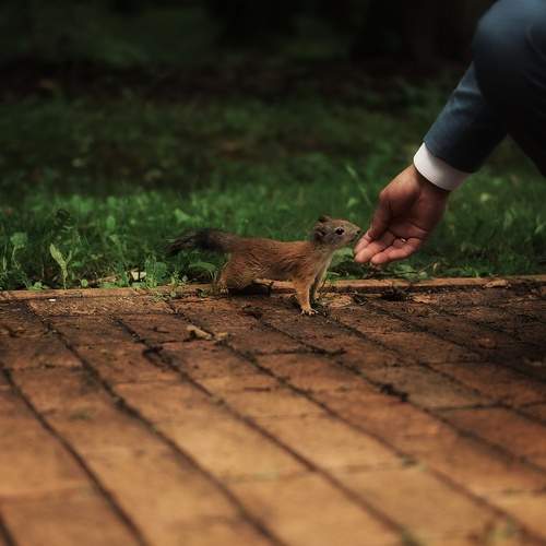 Photo #13202755