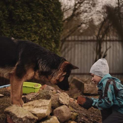 Photo #13202756
