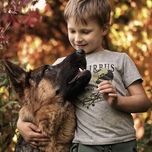 Photo #13202758
