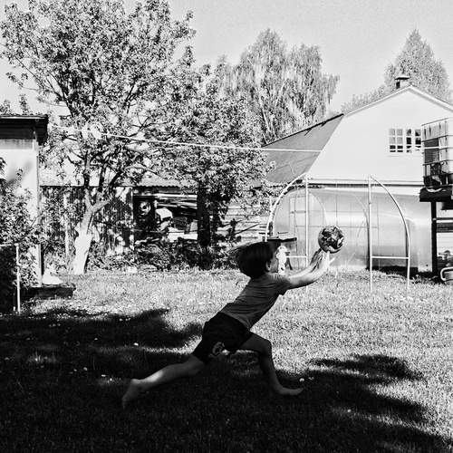 Photo #13202830