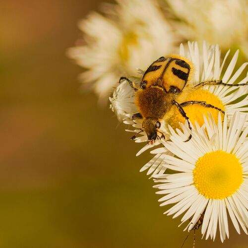 Photo #13202957