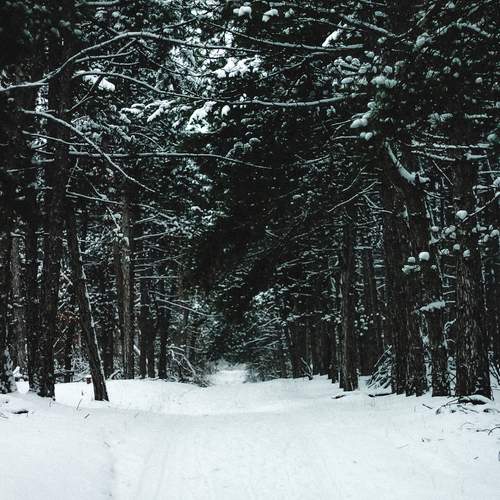 Photo #13202971
